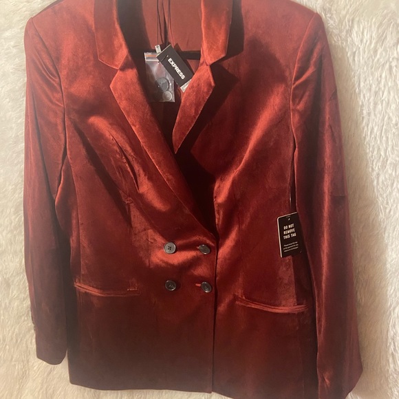 EXPRESS Double Breasted Velvet Blazer - Picture 7 of 8